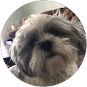 Ellen Medeiros profile picture